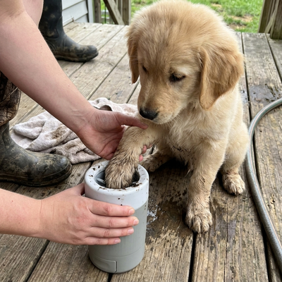 PawPure Dog Paw Cleaner